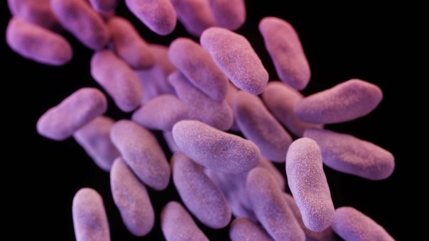Superbacteriile o amentare imensa la adresa sanatatii