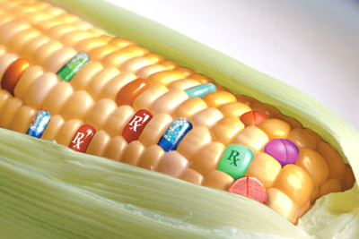 alimente modificate genetic