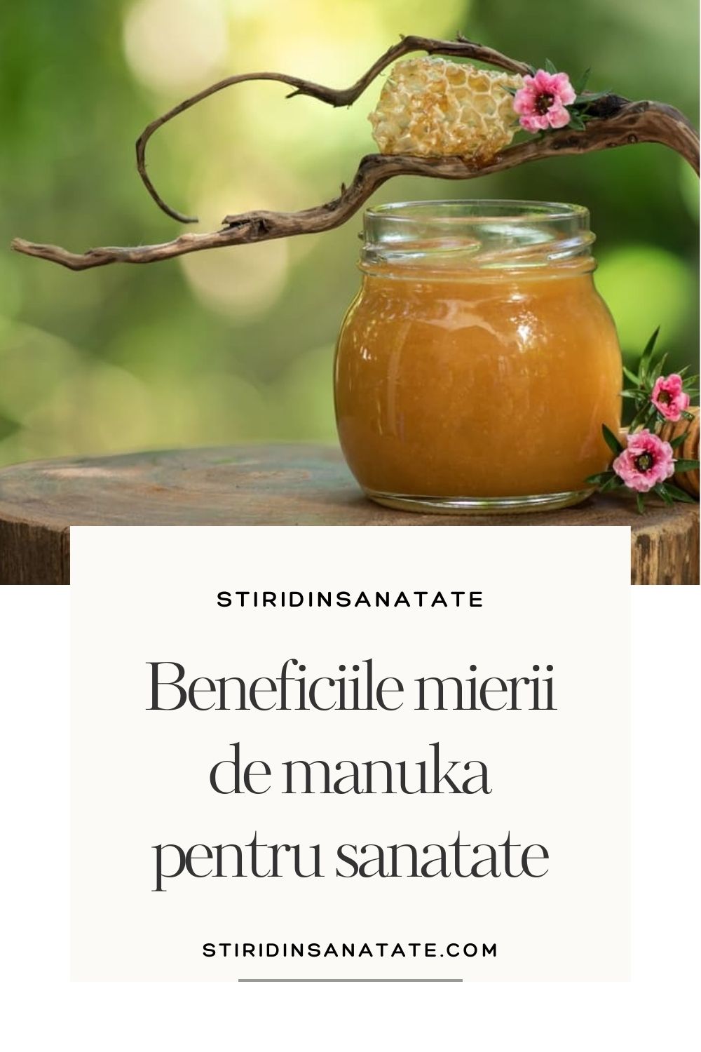 beneficii miere de manuka pentru sanatatea digestiva