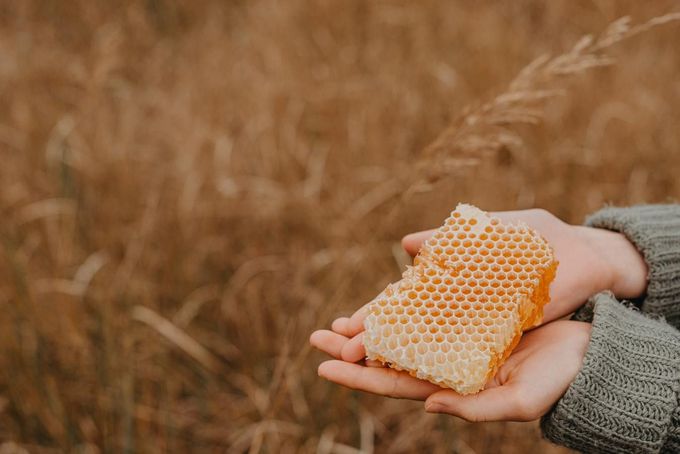 Care sunt beneficiile fagurelui de miere