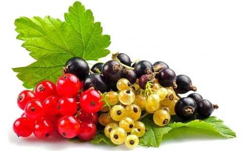 Fructele care combat durerile musculare dar si virusul herpetic