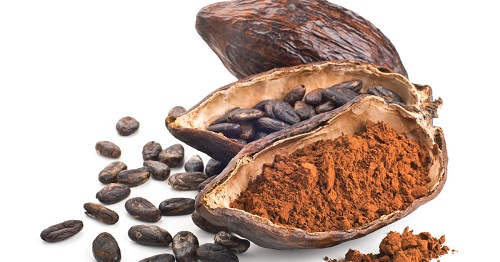 extract de cacao