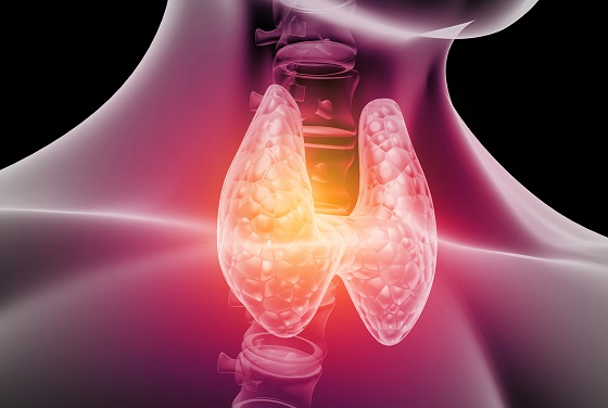 Care sunt bolile tiroidei
