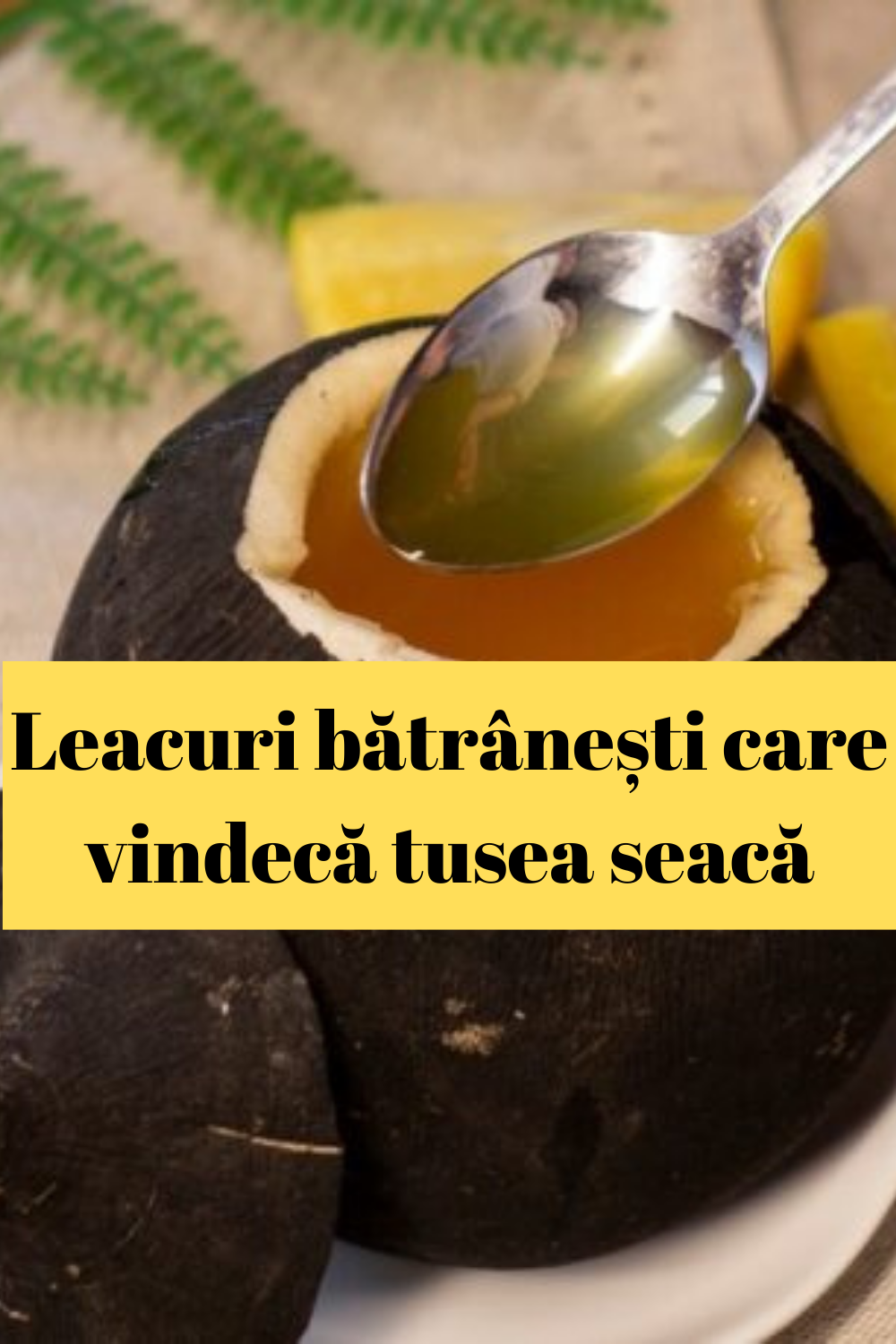 leacuri batranesti care vindeca tusea seaca