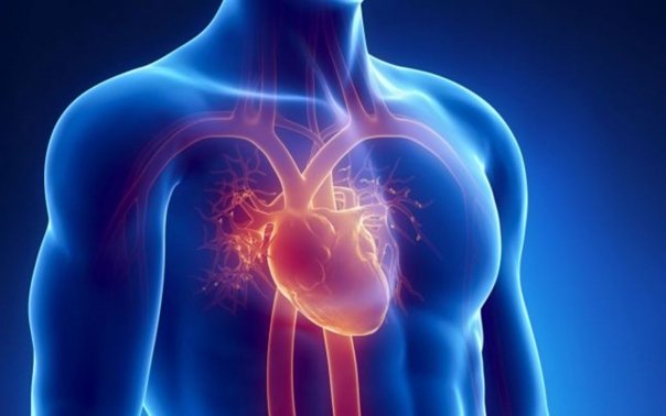 Cum se diagnosticheaza corect cardiopatia ischemica