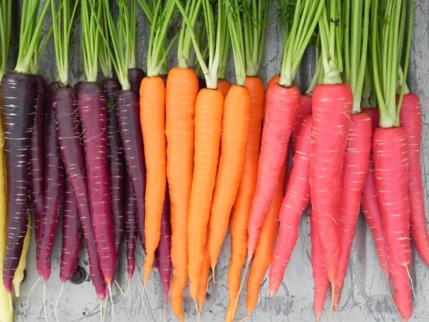 Beneficiile morcovilor pentru sanatate, in functie de culoarea acestora