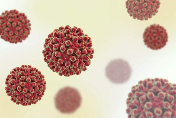 Virusuri hepatitice mai putin cunoscute