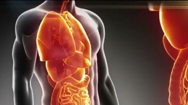 Ce ar trebui sa stii despre sanatatea intestinelor