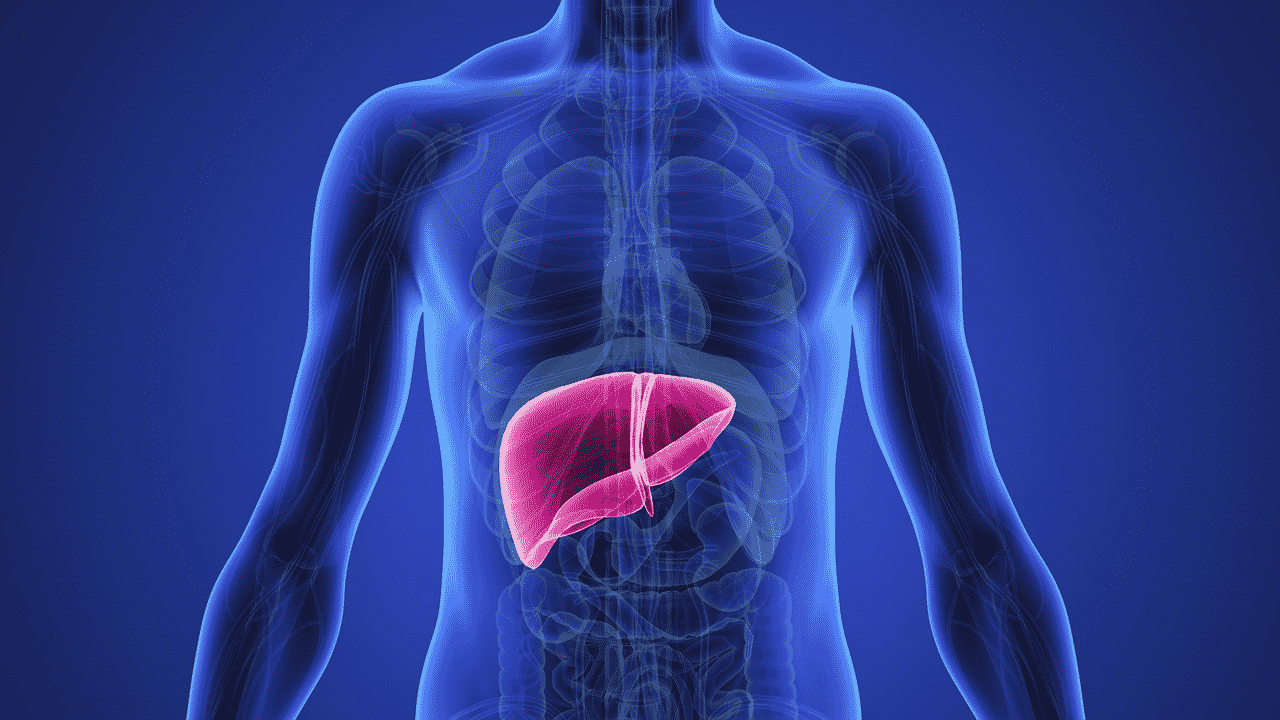 Ce modificari sufera ficatul in cazul steatozei hepatice